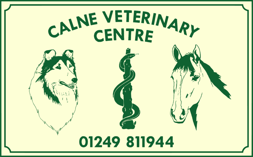 Calne Vets Logo